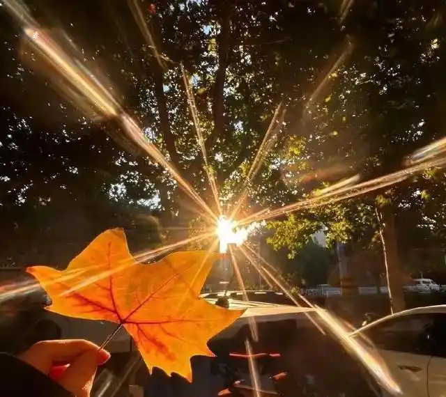 年轻一代新趋势：低成本叛逆与自我觉醒如何重塑当代生活方式 年轻一代低成本叛逆生活方式、课题分离年轻人心理趋势、年轻人低能耗生活方式、Z世代自我觉醒趋势分析、年轻人如何应对内卷与焦虑 第1张